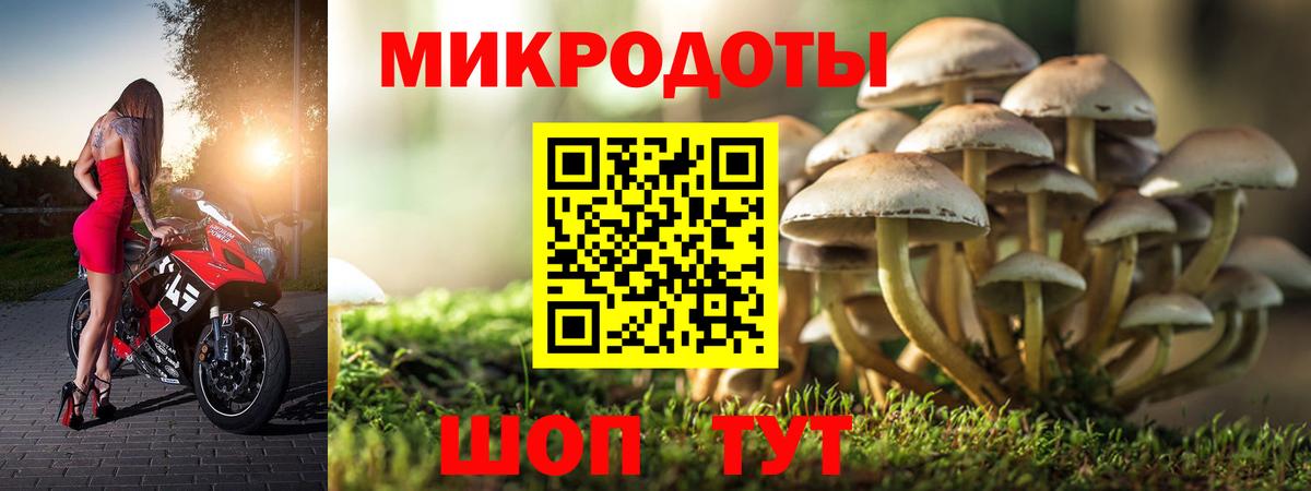 Псилоцибиновые грибы Magic Shrooms  Псилоцибиновые грибы Magic Shrooms  Вход с VPN  Заречный 