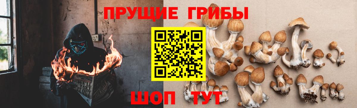 Галлюциногенные грибы мицелий Заречный